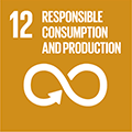 12 RESPONSIBLE CONSUMPTION AND PRODUCTION