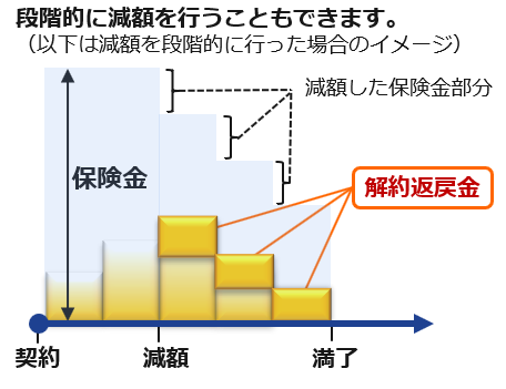 段階的に減額を行うこともできます