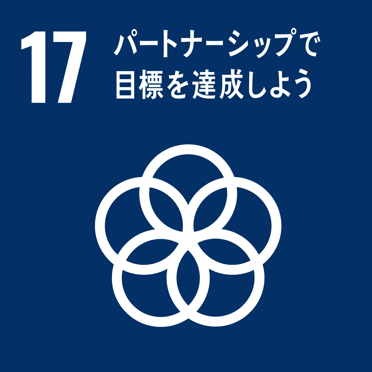 17 パートナーシップーで目標を達成しよう